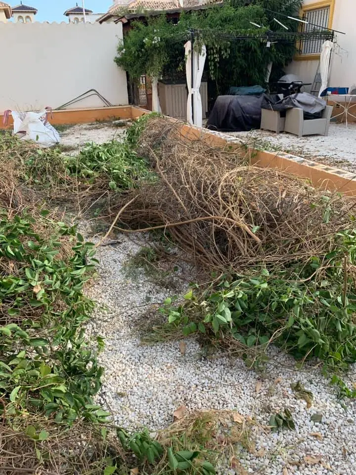 Mantenimiento de jardín y paisajismo en San Miguel de Salinas