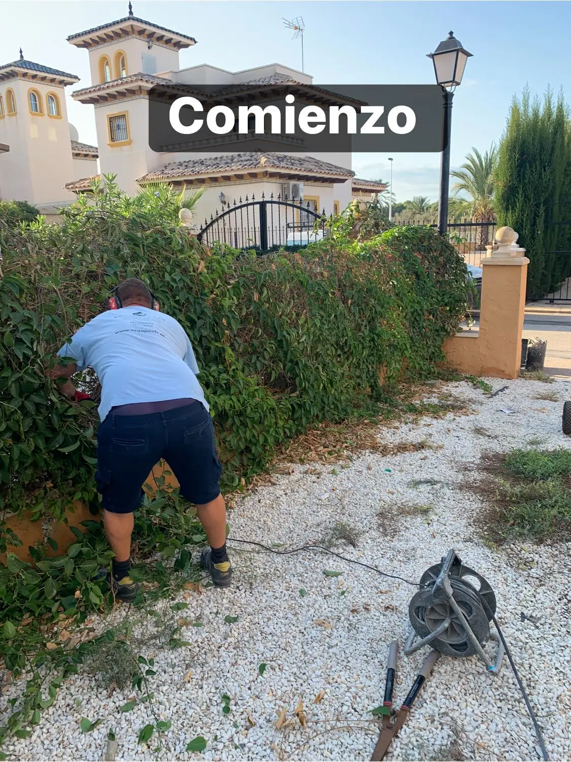 Corte de césped y poda de setos profesional