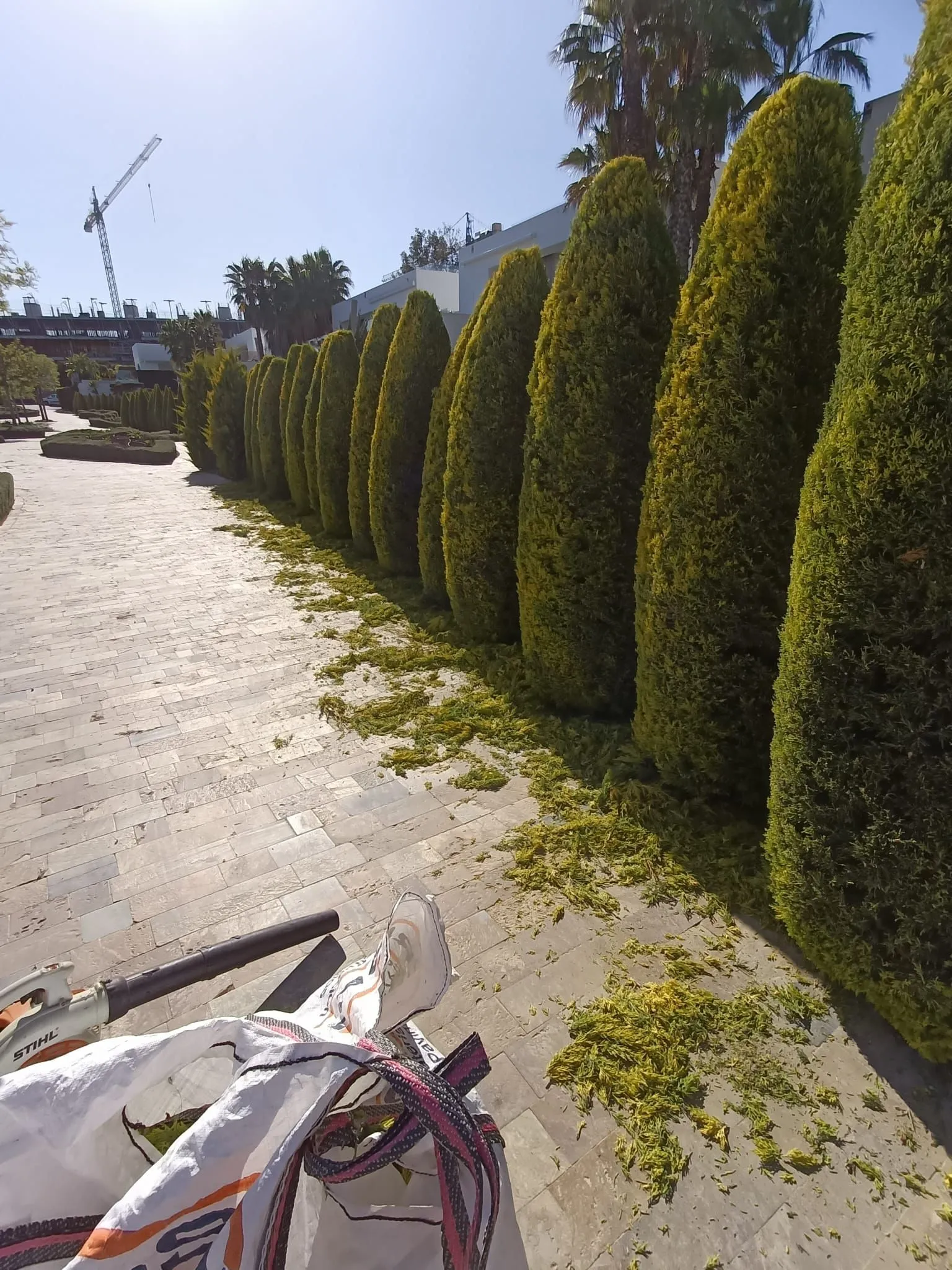 Proyecto de paisajismo de jardín en La Zenia